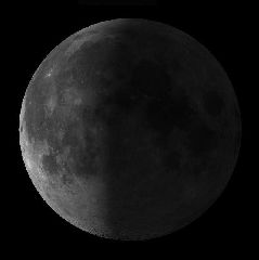 Moon